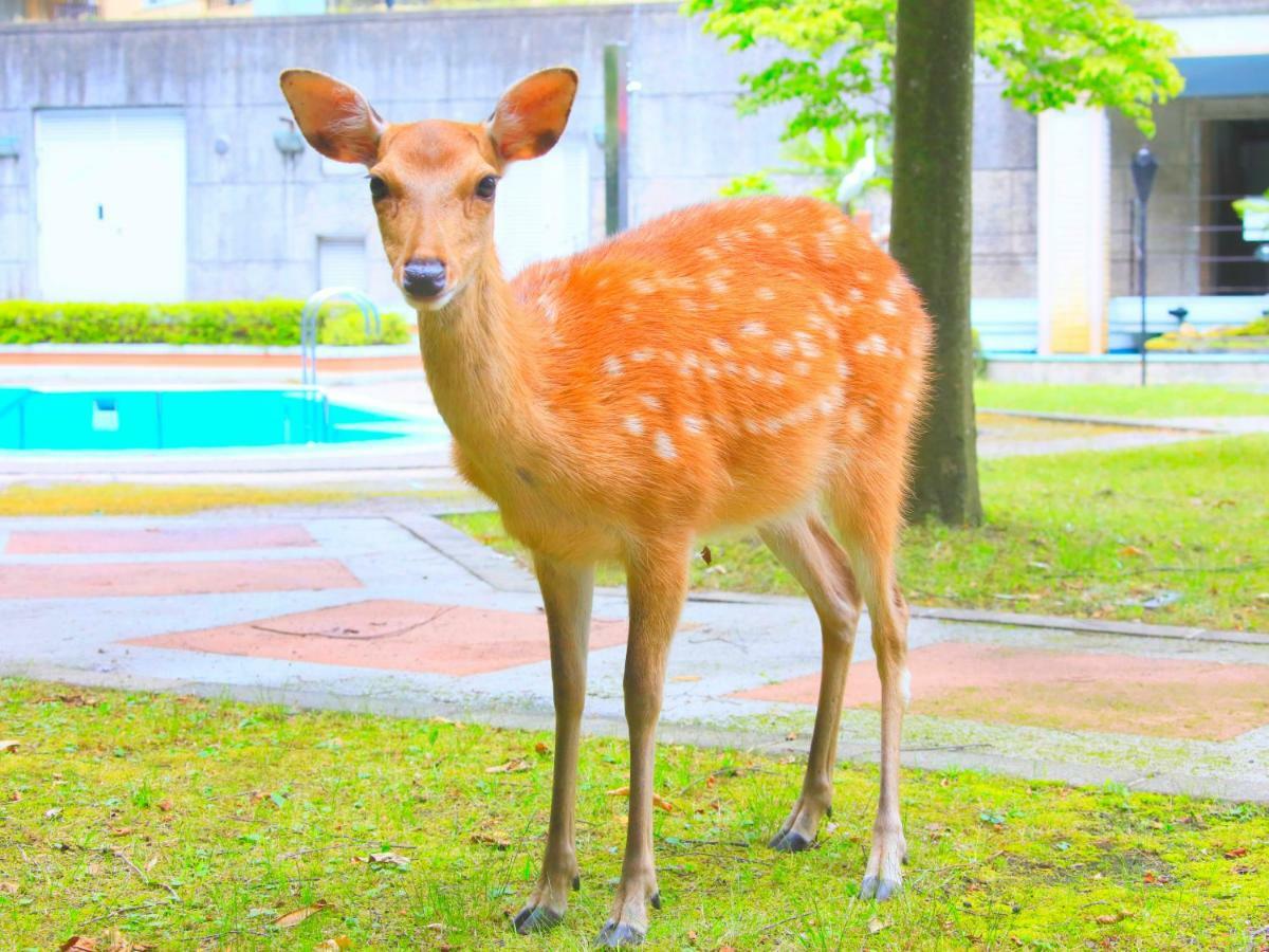 Reyzenit Kinosaki Suite VILLA Toyooka  Exterior foto